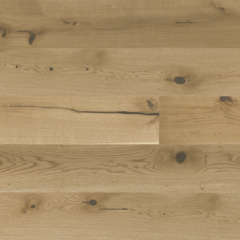 STEJAR EXCITE photo2